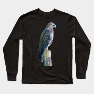 Perigrine Falcon Long Sleeve T-Shirt